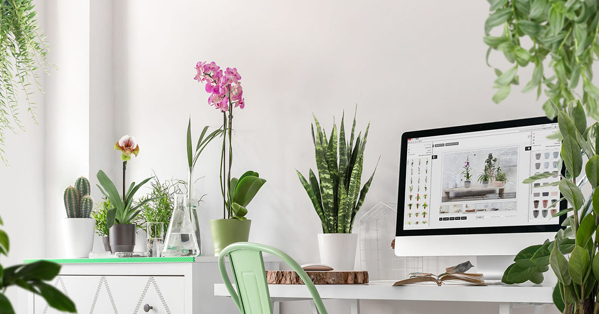 Flora Computer Floraconcepts